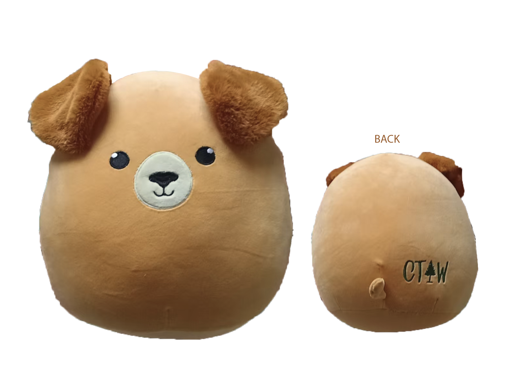 Jovie Pet